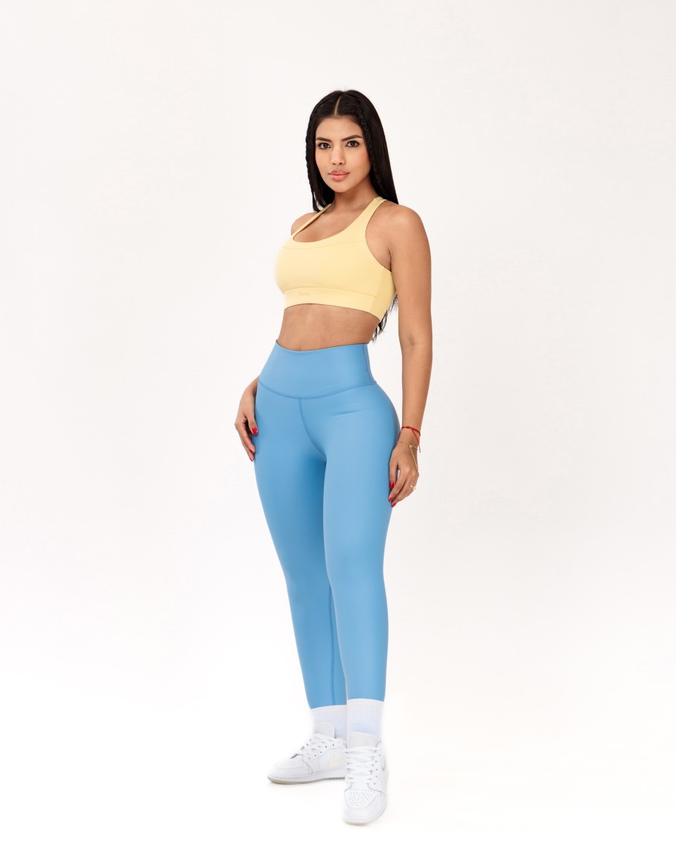 Top Chelonia