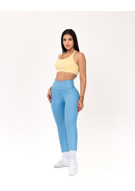 Top Chelonia