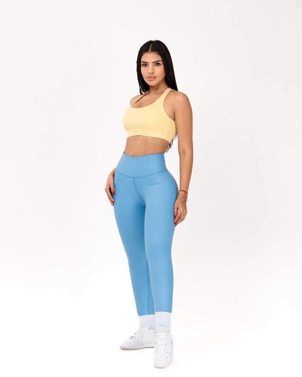 Top Chelonia
