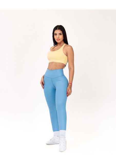 Top Chelonia